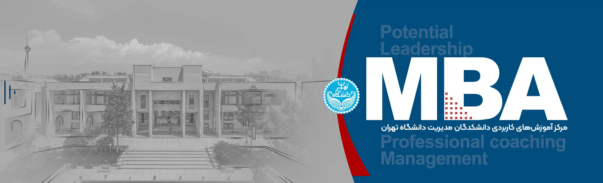 دوره mba دانشگاه تهران